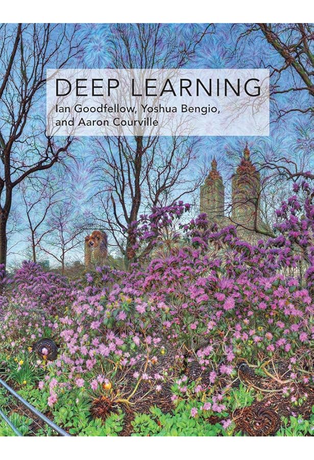 Understanding Deep Learning: Prince, Simon J.D.: 9780262048644
